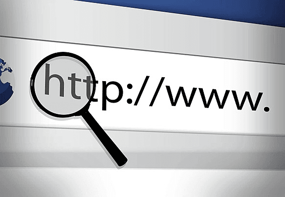 search bar showcasing URL.