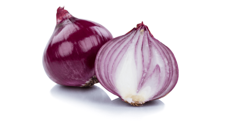 is tor safe