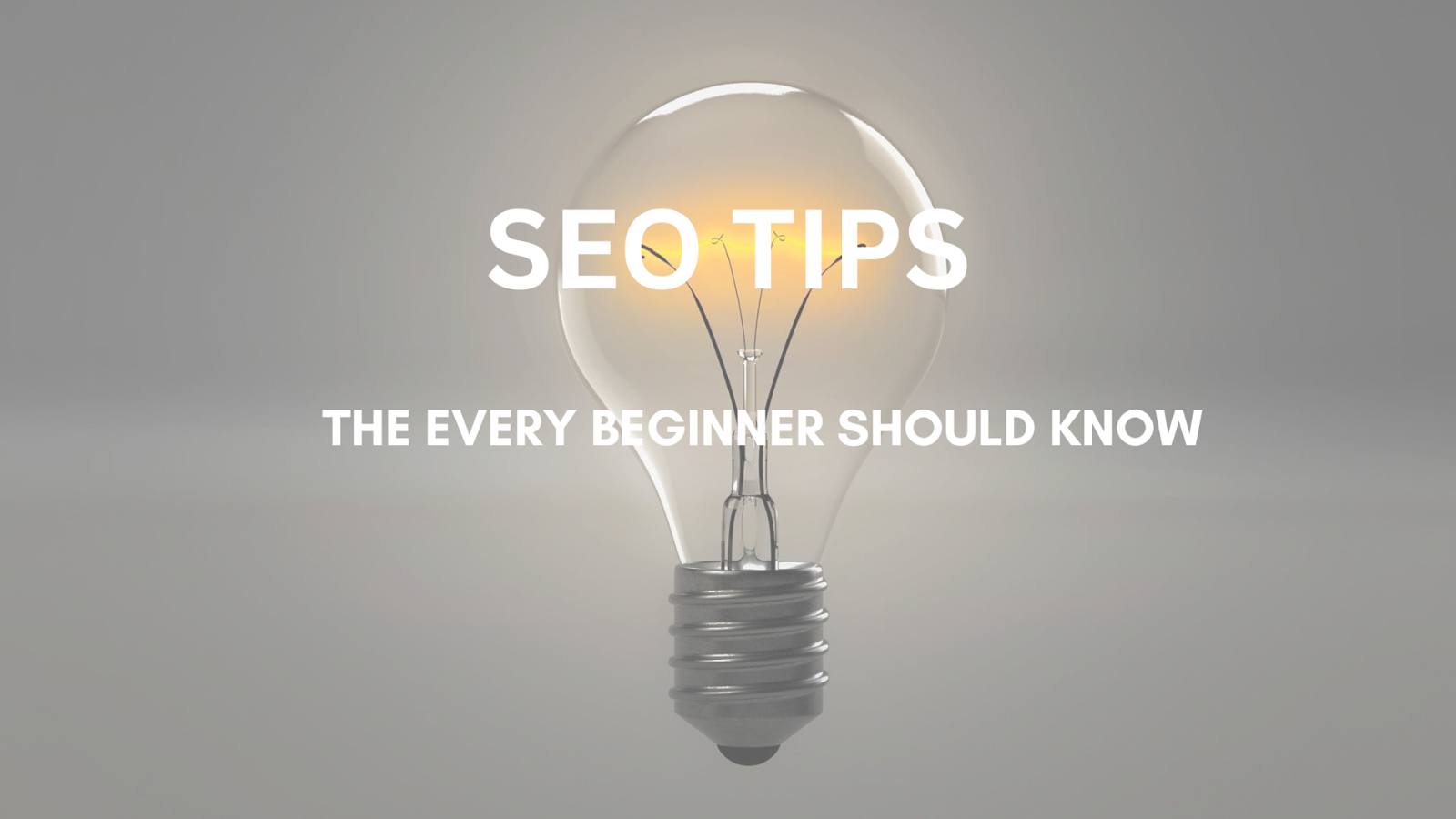 Beginner SEO tips for better rankings.