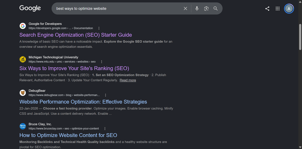 Google SERP Results